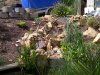 IMG-20120825-00020.jpg