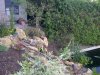 IMG-20120828-00042 neu.jpg