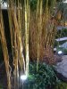 1350926188NIMG_0788.jpg