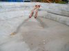 k-DSCF6558.JPG