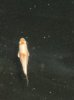 DSC0138055.jpg