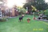 K640_100_0351.JPG