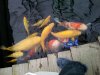 k-20120404_180445.jpg