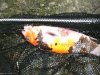 BILD1104.jpg