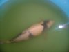 unsere paddler am 20. mai 2012.jpg