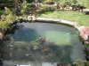 DSCF0435.JPG