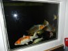 DSCN2409.JPG