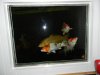 DSCN2399.JPG