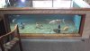 DSC00355.JPG