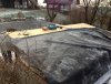 IMG_1271.jpg