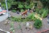 Teich_Terrasse.jpg