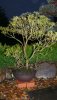 IlumixA (2)_270x480.JPG
