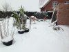 IMG_1035.JPG