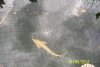 100_0378.JPG