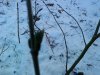 DSC00475.JPG
