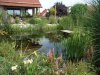 tn_Gartenteich 2008 (23).jpg
