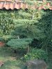 k-DSC_5507.JPG