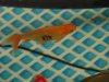 DSC00543.jpg