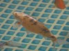 DSC00559.jpg