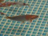 DSC00548.jpg