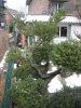 DSCF0904.JPG