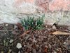 DSC00479.JPG