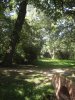 Dessauer Gartenreich Oranienbaum (1).jpg
