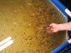 2013-03-03 16.29.22.jpg