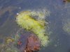 DSC00736.jpg