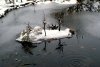 DSC03164.JPG