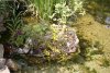 DSC01448.JPG