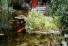 DSC01447.JPG
