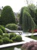 1363677259NIMG_0352.jpg
