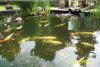 K640_100_0337.JPG