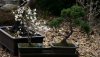 IlumixA5_800x450.JPG