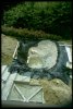 IMG0005.jpg