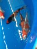 IMG_0174.JPG