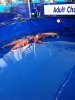 IMG_0226.JPG
