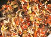 DSC01306.JPG