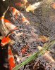 DSC01391.JPG