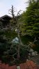 P1050247_338x600.JPG
