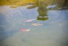 IMG_4585_bearbeitet-1.jpg