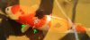 2013-05-02 16.01.34.jpg