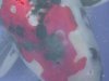 S2810001.JPG