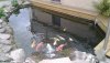 20130510_193202.jpg