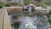 20130510_192814.jpg