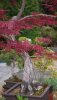 IlumixB (23)_338x600.JPG
