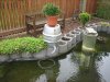 IMG_0072.JPG