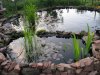 11.03.2013 2013-Teich und Besatz 003-kl.jpg