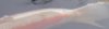 IMGP0112.JPG